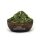 Minze gerebelt 100 g