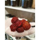 Chili Habanero ganz 50 g ( Mexiko )