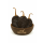 Pasilla Chili ganz getrocknet 50 g