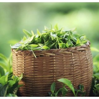 Mevlana Premium Ceylon Tee Goran Tee Luxusmischung Yaprak Cay 1 Kg 