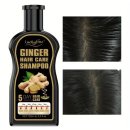 Ginger Hair Care Shampoo, Erfrischend, Ölkontrolle,...