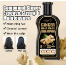 Ginger Hair Care Shampoo, Erfrischend, Ölkontrolle, Nicht Fettend 100 ml