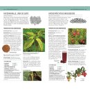 Heilpflanzen Kompaktlexikon von A–Z