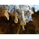 Mastix Damla Sakizi Baumharz 100 g Mastix Gummi Lacrimes...